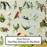 This Place Belongs To The Birds