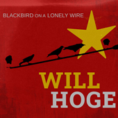 Blackbird On A Lonely Wire